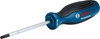 Изображение Bosch Screwdriver TX 25 x 100