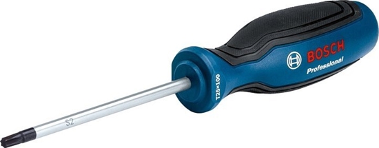Picture of Bosch Screwdriver TX 25 x 100