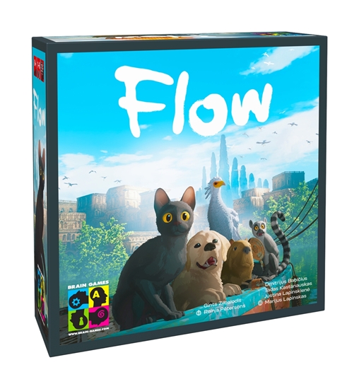 Picture of Brain Games Flow