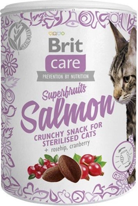 Изображение Brit Care Cat Snack Superfruits Salmon 100g