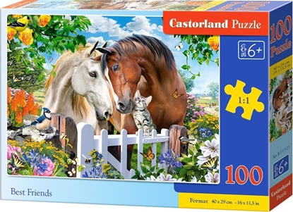 Изображение Castorland Puzzle 100 Best Friends