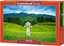 Изображение Castorland Puzzle 1000 Rice Fields in Vietnam CASTOR