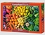 Picture of Castorland Puzzle 1500 element?w T?cza witamin