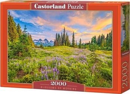 Attēls no Castorland Puzzle 2000 Blossoms of Morning