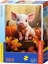 Attēls no Castorland Puzzle 300 Cute Fall Piglet CASTOR