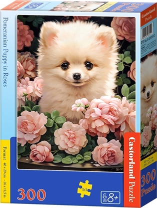 Attēls no Castorland Puzzle 300 Pomeranian Puppy in Roses CASTOR