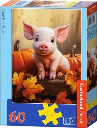 Picture of Castorland Puzzle 60 Cute Fall Piglet CASTOR