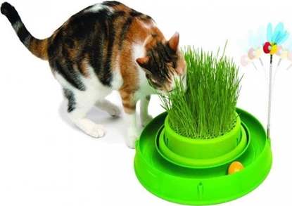 Picture of Catit Tor Catit Play 'n Scratch z traw, 4 x 36 x 39,5 cm, zielony