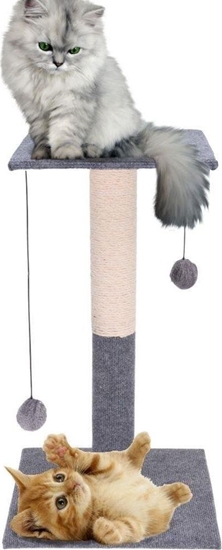 Изображение Cats Collection Drapak wysoki dla KOTA supek legowisko drzewo z zabawkami pieczkami