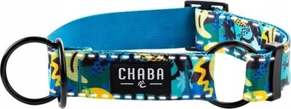 Attēls no Chaba CHABA OBROA PÓZACISK STORY ``L``        CARNIVAL 3/36-60cm