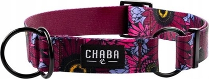 Attēls no Chaba CHABA OBROA PÓZACISK STORY ``L``        LAKOTA 3/36-60cm