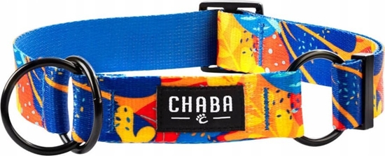 Picture of Chaba CHABA OBROA PÓZACISK STORY ``S``        AUSSIE 2,0/22-44cm