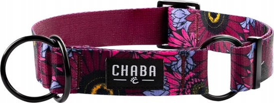 Picture of Chaba CHABA OBROA PÓZACISK STORY ``S``        LAKOTA 2,0/22-44cm