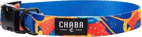 Picture of Chaba CHABA OBROA REG. STORY ``L`` AUSSIE      32-53x2,5cm