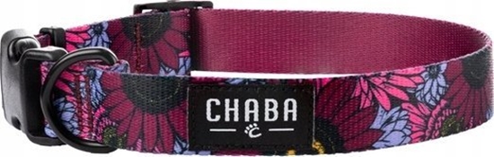 Picture of Chaba CHABA OBROA REG. STORY ``L`` LAKOTA      32-53x2,5cm