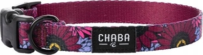 Picture of Chaba CHABA OBROA REG. STORY ``S`` LAKOTA      20-33x1,6cm
