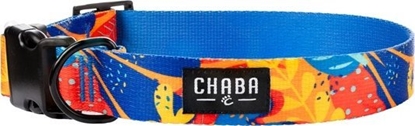 Picture of Chaba CHABA OBROA REG. STORY ``XL`` AUSSIE     40-65x3cm