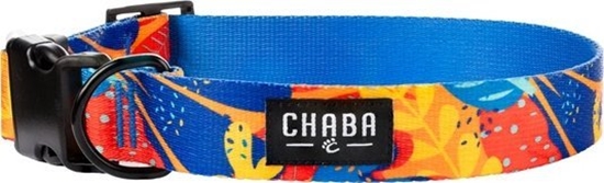 Picture of Chaba CHABA OBROA REG. STORY ``XL`` AUSSIE     40-65x3cm