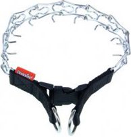 Picture of Champion Kolczatka [2T]