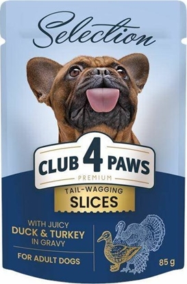 Picture of Club 4 Paws Club4 Pies 85g Plastry Kaczka Indyk w Sosie
