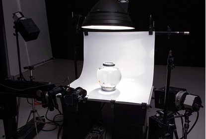 Picture of Colorama SUPER WHITE GLOSS - to Colorgloss 100 x 130 c