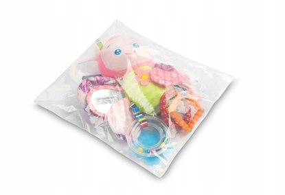 Picture of COLORFUL GRZECHOTKA PODRÓNA MOTYLEK