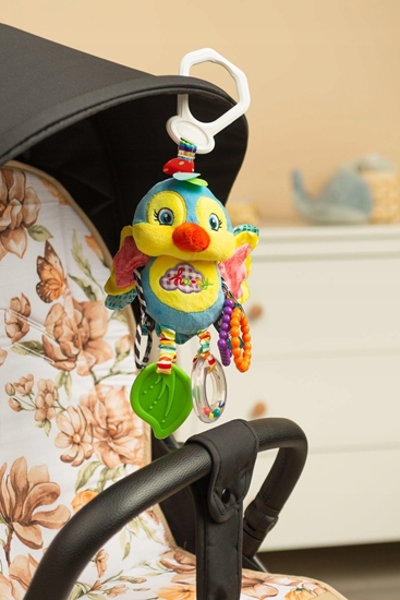 Picture of COLORFUL GRZECHOTKA PODRÓNA PTASZEK