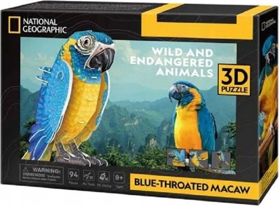 Picture of Cubic Fun Puzzle 3D 88 elementów Ara szafirowa