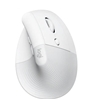 Picture of Datorpele Logitech Lift Vertical White