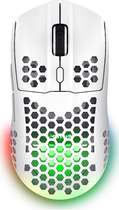 Picture of Datorpele Trust GXT929W Helox WRL White
