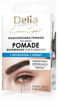 Picture of DELIA Eyebrow Expert wodoodporna pomada do brwi 3.0 ciemny brz 7 g