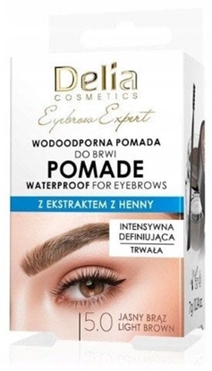 Picture of DELIA Eyebrow Expert wodoodporna pomada do brwi 5.0 jasny brz 7 g