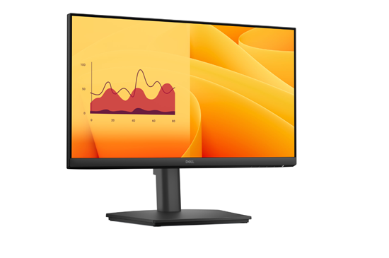 Picture of Dell LCD E2225HSM 22" FHD/1920x1080/HDMI,DP,VGA/Black |