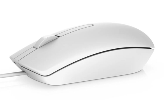 Picture of DELL MS116 mouse Ambidextrous USB Type-A Optical 1000 DPI