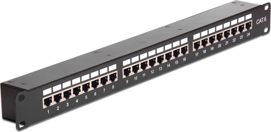 Picture of Delock 19″ Coupler Patch Panel 24 Port Cat.6