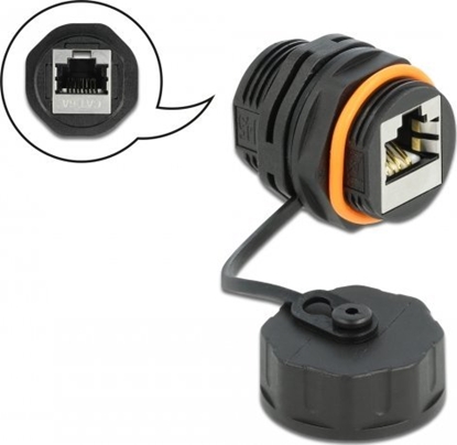 Изображение Delock Cable Connector RJ45 jack to RJ45 jack Cat.6A with protective cap waterproof