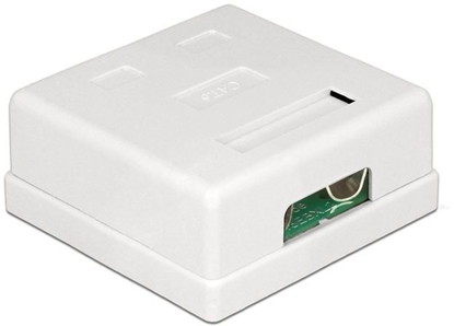Изображение Delock Modular Wall Outlet 2 Port Cat.6