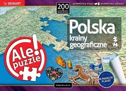 Picture of Demart Puzzle - Polska Krainy geograficzne
