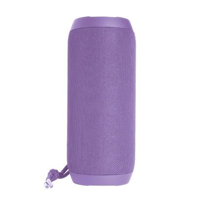 Picture of Denver BTS-110NRBPUN Purple