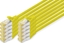 Изображение Digitus CAT 6A S/FTP PATCH CORD10P AWG CAT 6A S/FTP PATCH CORD10P AWG