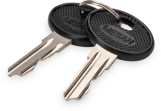 Picture of Digitus Key for wall-mounted enclosure SOHO PRO, DN-1019, DN-DVR-1