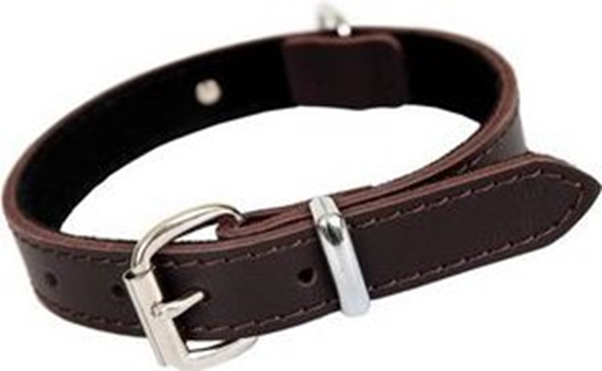 Picture of Dingo OBROA SK. ANGIELSKA 4x70 BRZ