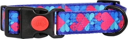 Attēls no Dino DINO OBROA TAMA IVO 20mm/35-60cm SERCA