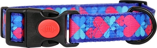 Picture of Dino DINO OBROA TAMA IVO 20mm/35-60cm SERCA