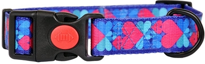 Attēls no Dino DINO OBROA TAMA IVO 25mm/40-70cm SERCA