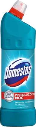 Attēls no Domestos Pyn do WC 1L Atlantic
