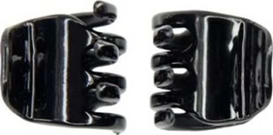 Picture of Donegal Klamra do wosów Mini czarna 2 szt. (FA-5829)