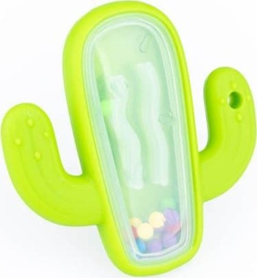 Picture of Dumel Grzechotka kaktus