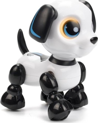 Picture of Dumel Robo heads up puppy