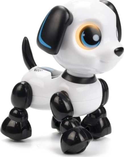 Picture of Dumel Robo heads up puppy